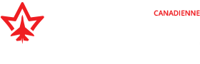 SkyAlyne Logo