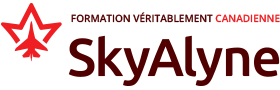 SkyAlyne Logo